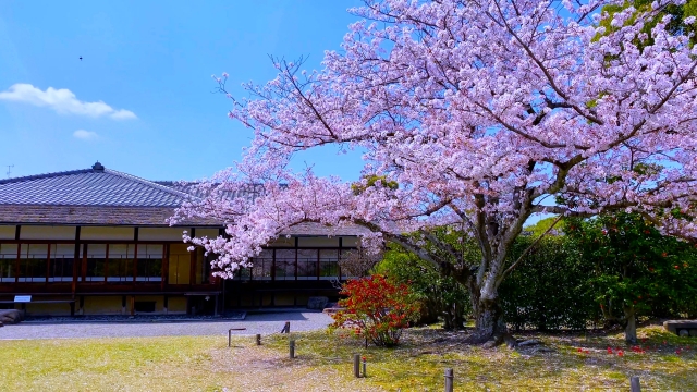 東本願寺の概要